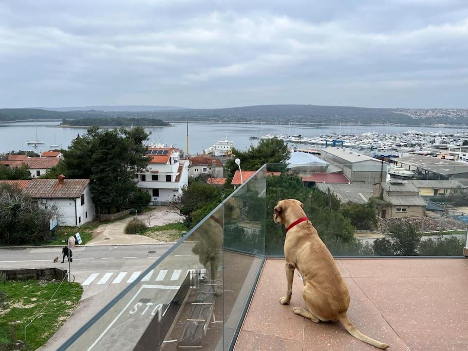 Panorama Penthouse *